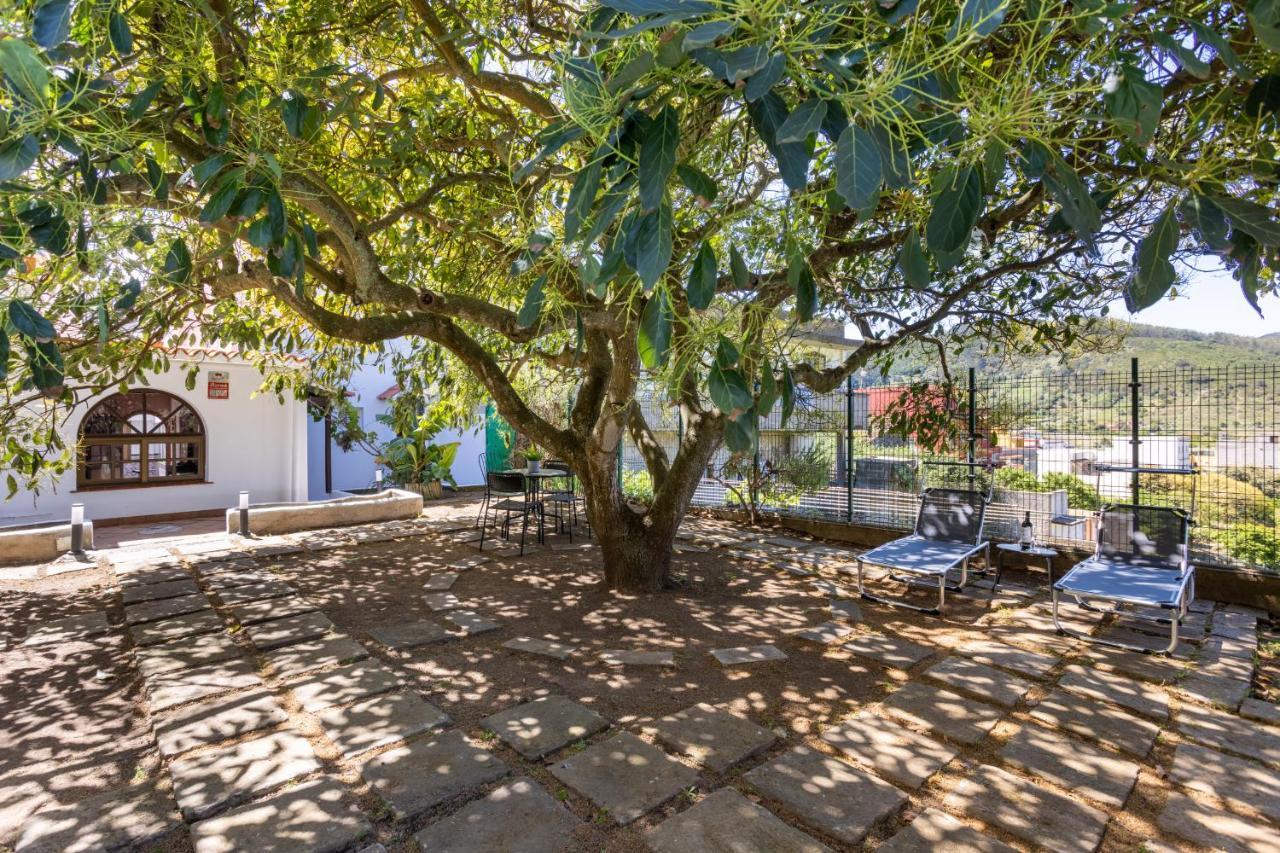 Tegueste Charming House Екстер'єр фото